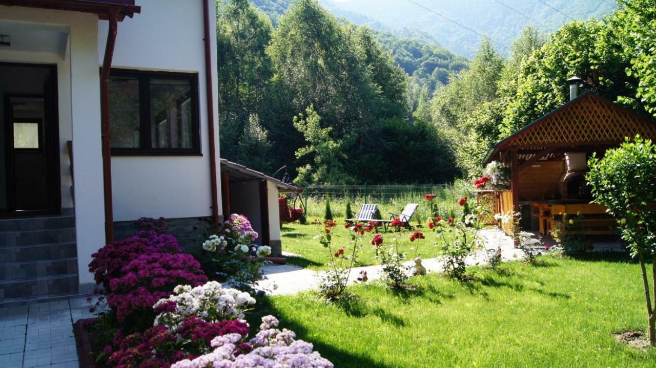 Cabana Nisipoasa Riu de Mori Ngoại thất bức ảnh